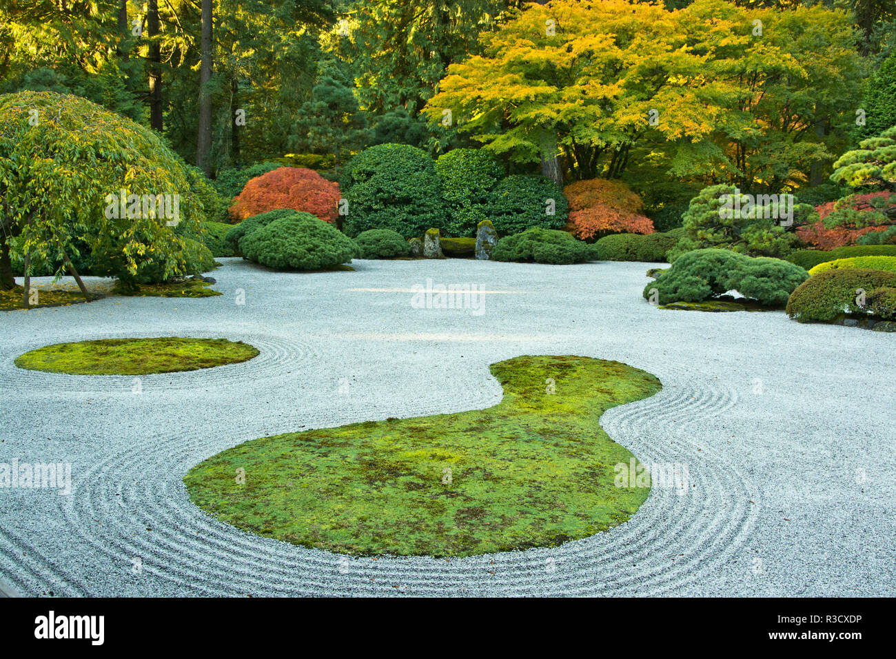 Jardin du Pavillon, le jardin japonais de Portland, Portland, Oregon, USA Banque D'Images