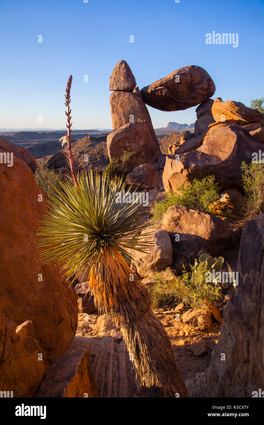 Balanced Rock, Big Bend National Park, Texas Banque D'Images