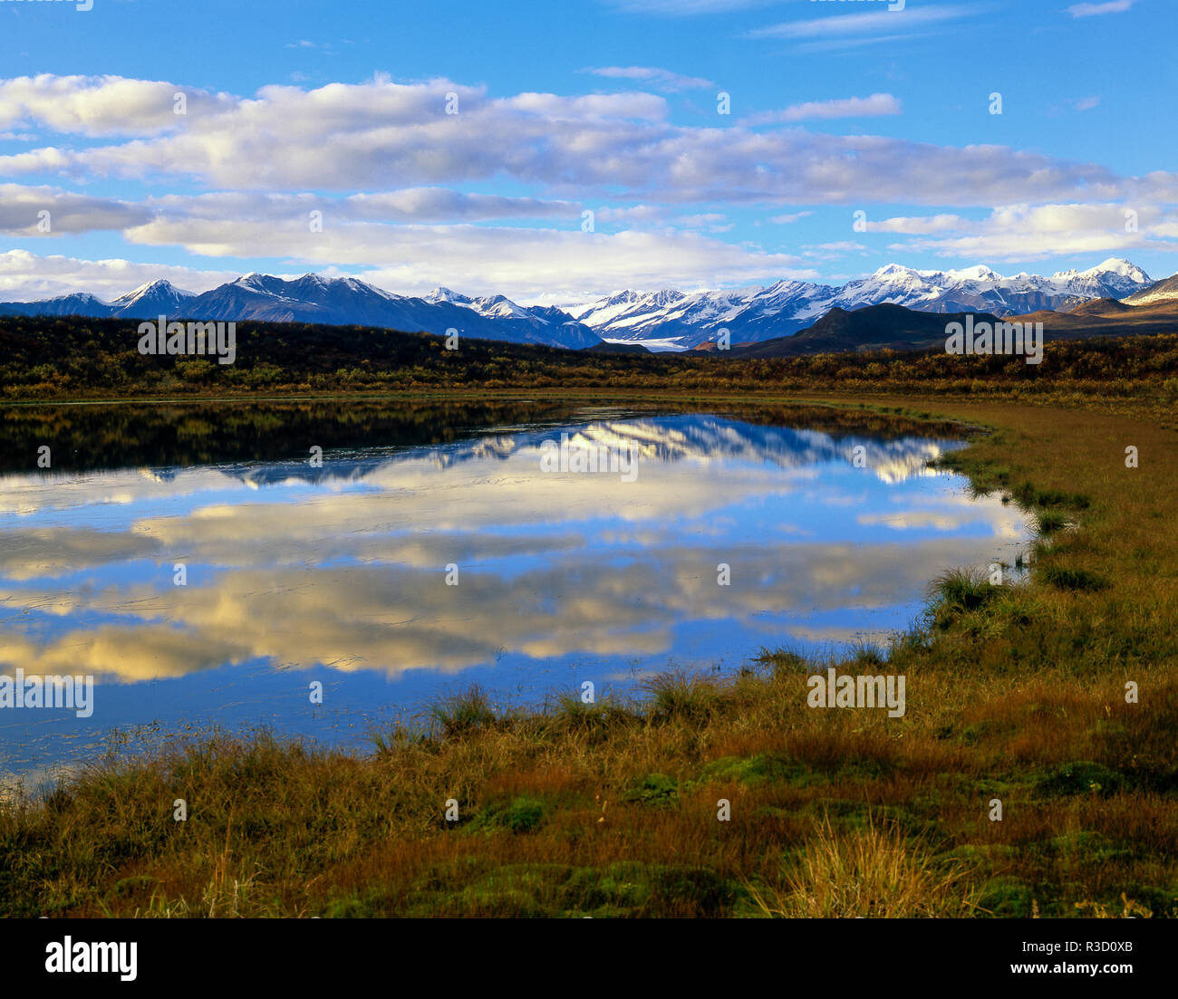 Chaîne de Montagnes de l'Alaska et de poule, le parc national Denali, en Alaska. Banque D'Images