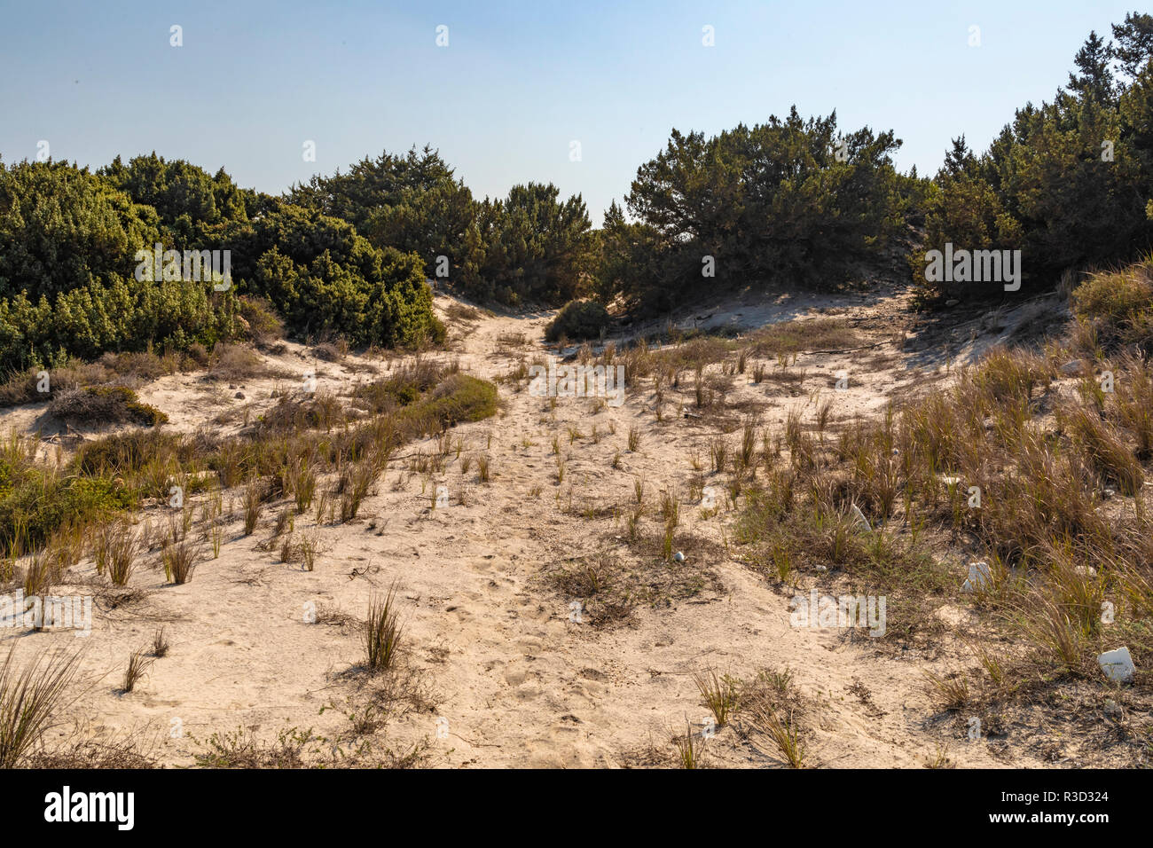 Vue sur les dunes de sable en Grèce sur un jour d'été ensoleillé ! Banque D'Images