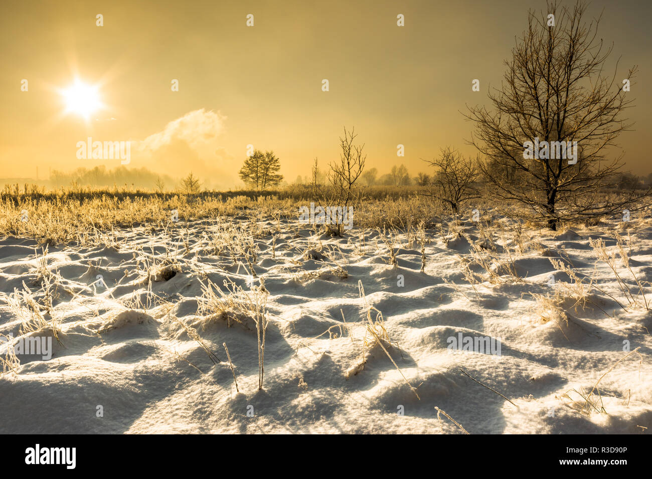Paysage d'hiver magique avec la neige en campagne, soleil et ciel bleu, concept de Noël blanc Banque D'Images