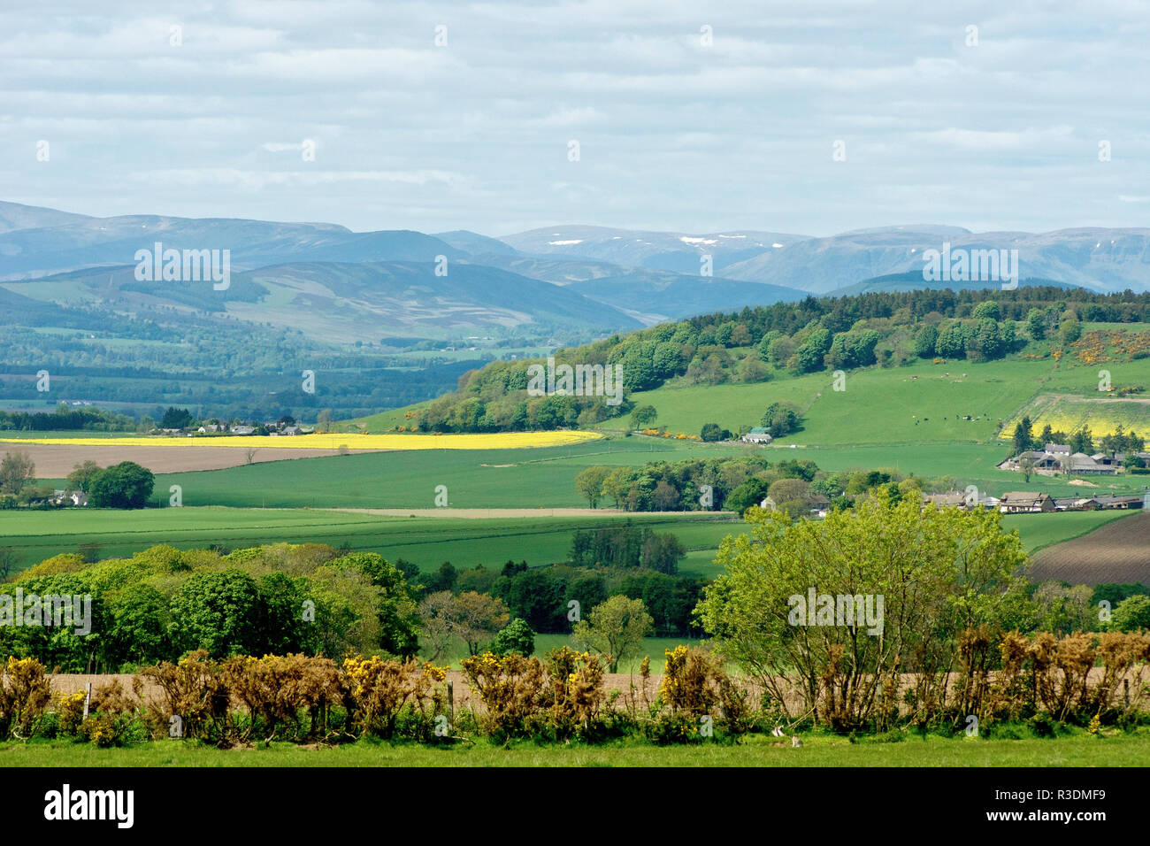Vue sur les terres fertiles des Angus, Scotland, UK, dans les collines et vallons au-delà. Banque D'Images