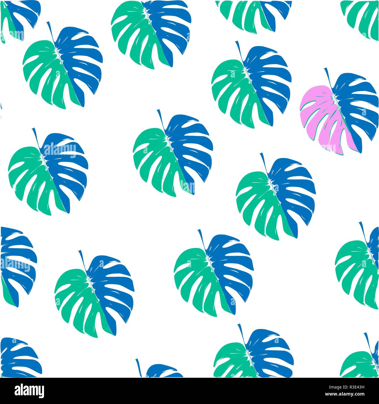 Hand Drawn Vector seamless pattern avec les feuilles des plantes tropicales de Monstera ornament Illustration de Vecteur