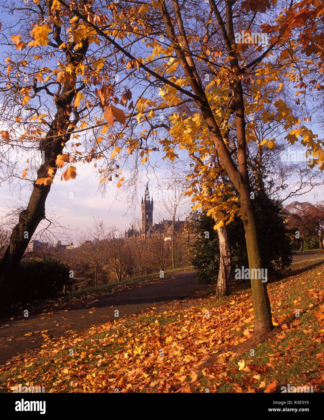 Scène d'automne dans le parc de Kelvingrove, Glasgow, Écosse, Royaume-Uni Banque D'Images