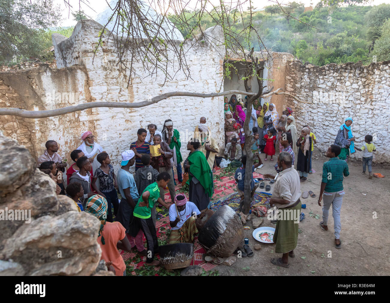 Les hommes Harari la consommation de khât au cours d'une célébration soufie, Harari, Harar, Éthiopie Région Banque D'Images