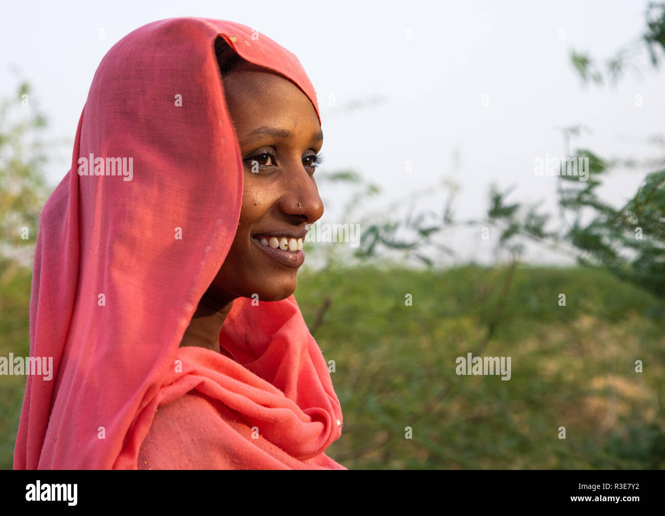 Portrait of a smiling afar tribe femme avec un voile rose, région Afar, Ethiopie, Afambo Banque D'Images