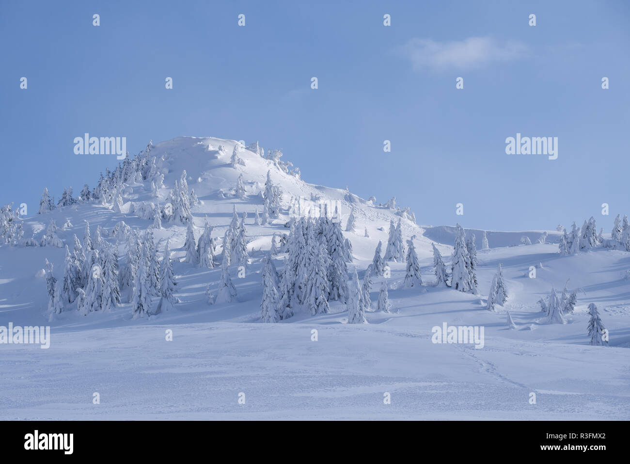 Paysage d'hiver avec une colline dans la neige. Forêt de sapins de la montagne après des chutes de neige. Journée ensoleillée avec ciel bleu Banque D'Images