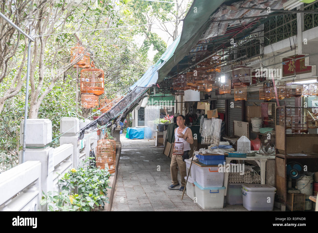 KOWLOON, HONG KONG - 21 avril 2017 : Vendeur avec volière à Yuen Po Street Bird Garden à Kowloon, Hong Kong. Banque D'Images
