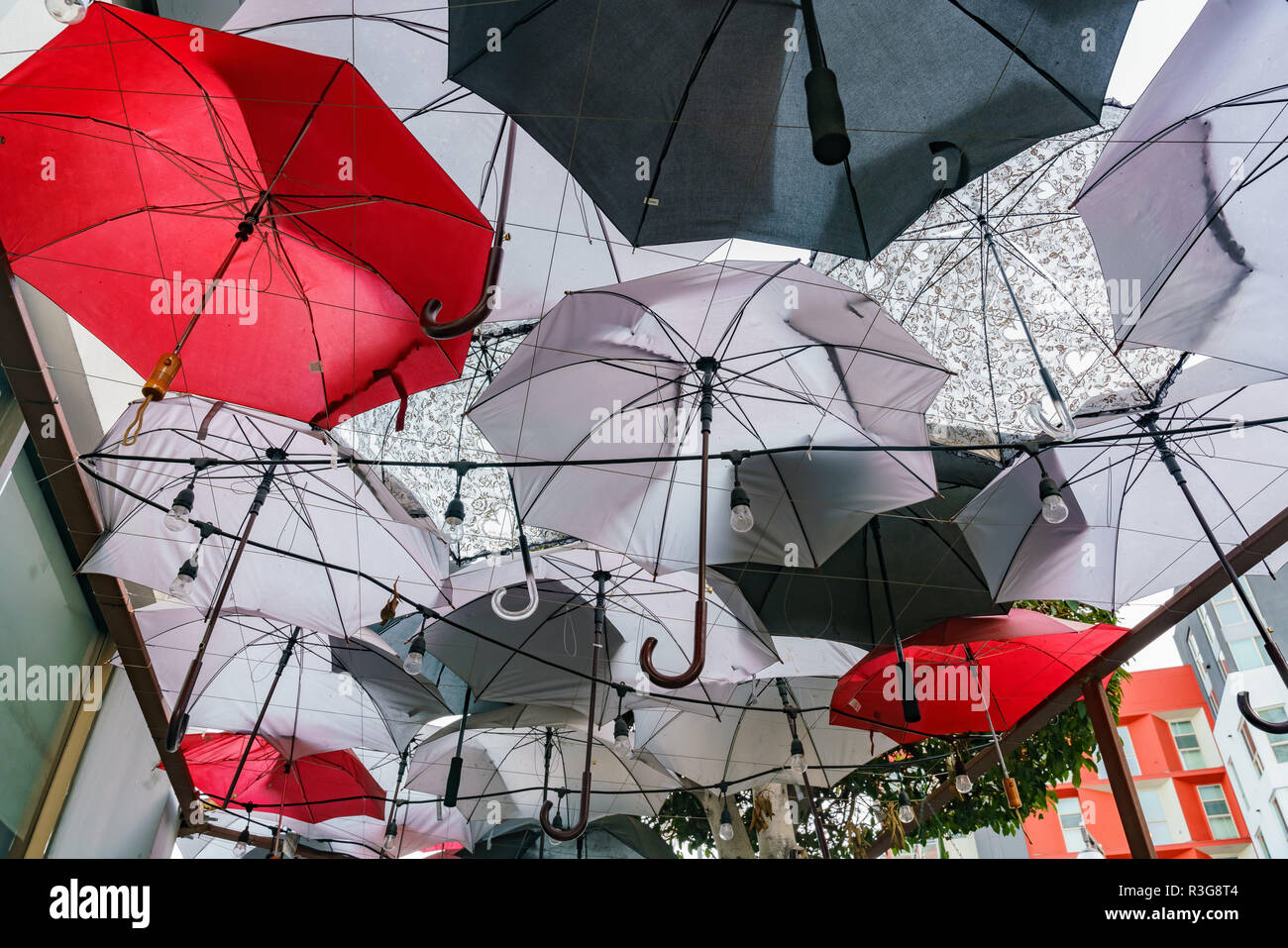 Certains umbrella de raccrocher la route à Little Tokyo, Los Angeles Banque D'Images