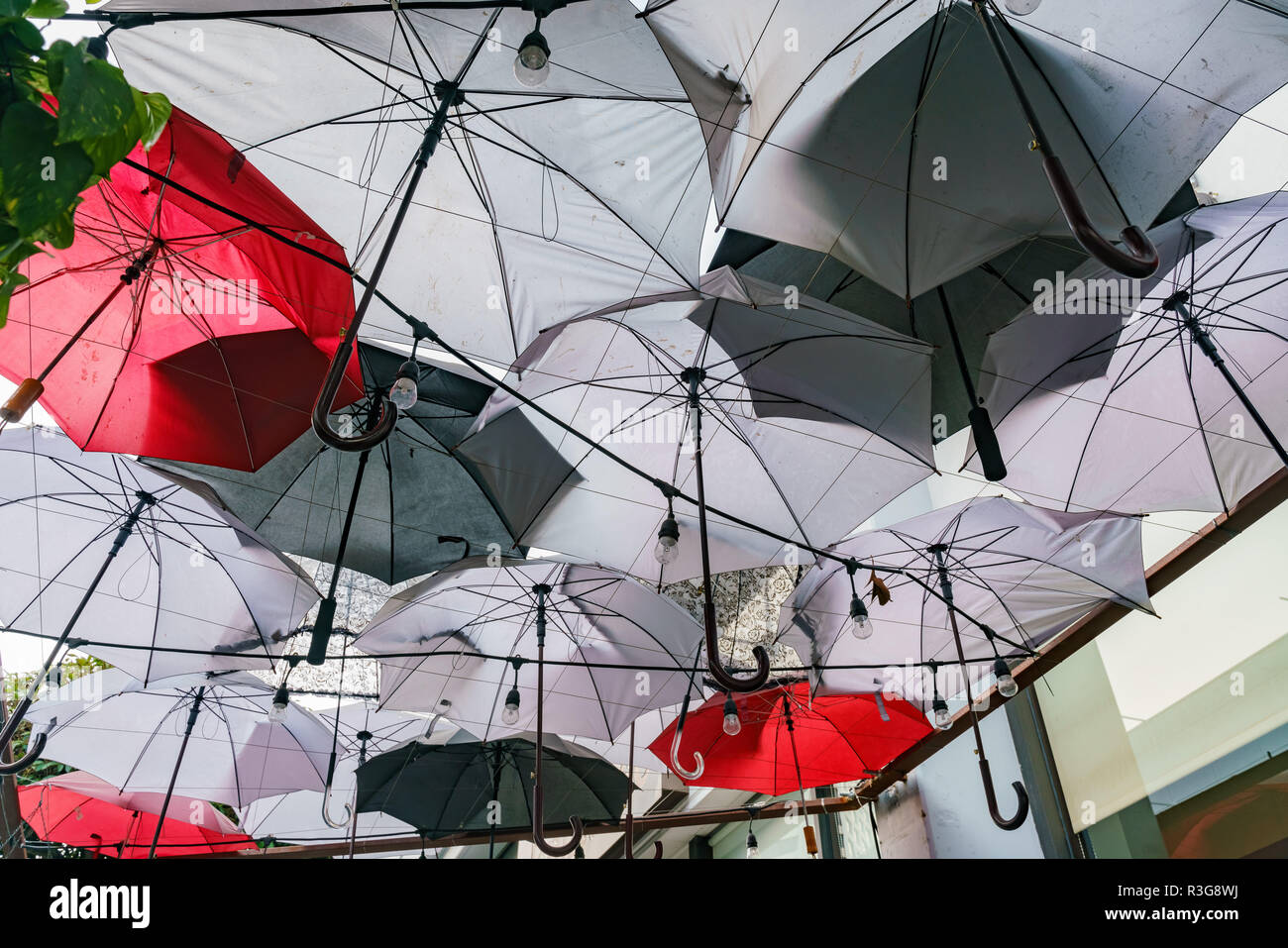 Certains umbrella de raccrocher la route à Little Tokyo, Los Angeles Banque D'Images