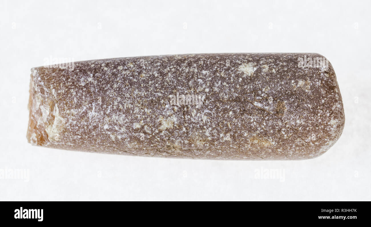 La macro photographie de minéraux naturels à partir de la collection géologique - belemnoid thunderstone sur fond blanc Banque D'Images