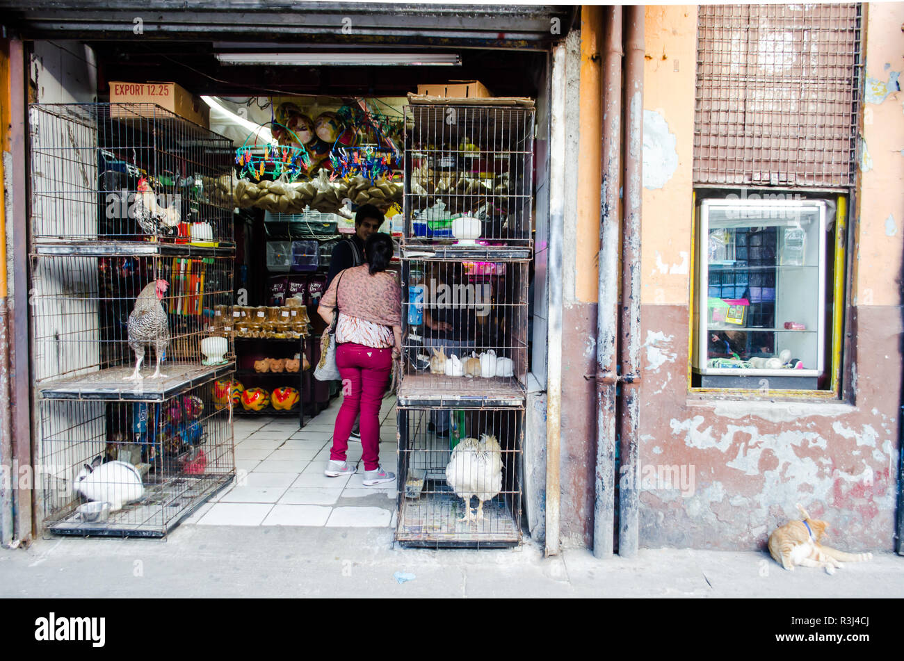 Costa Rica's Central Market shop Banque D'Images