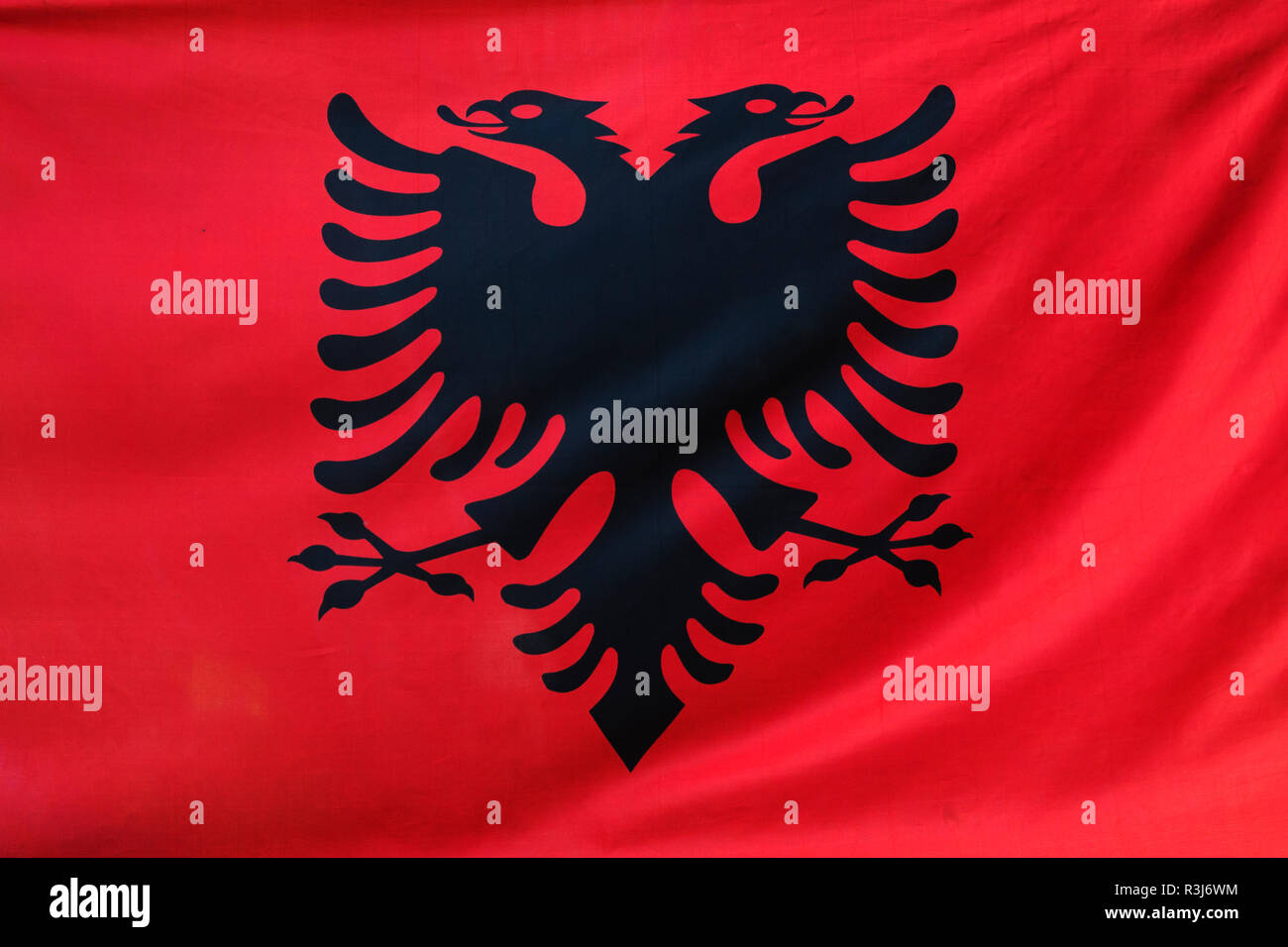 Drapeau albanais avec aigle bicéphale, Albanie Banque D'Images