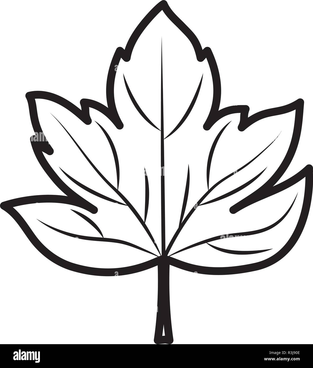 Feuille sèche icône sur fond blanc, vector illustration Illustration de Vecteur