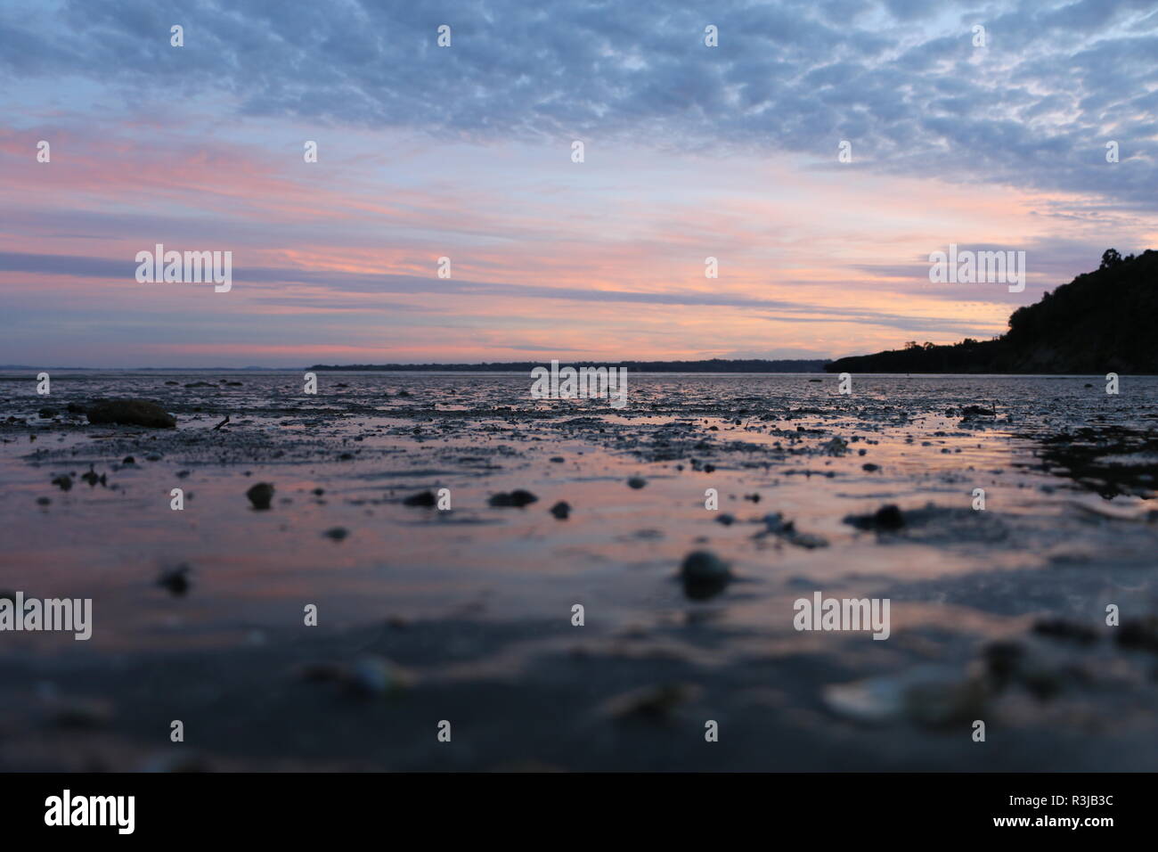 Armor Bay, Nouvelle-Zélande Banque D'Images