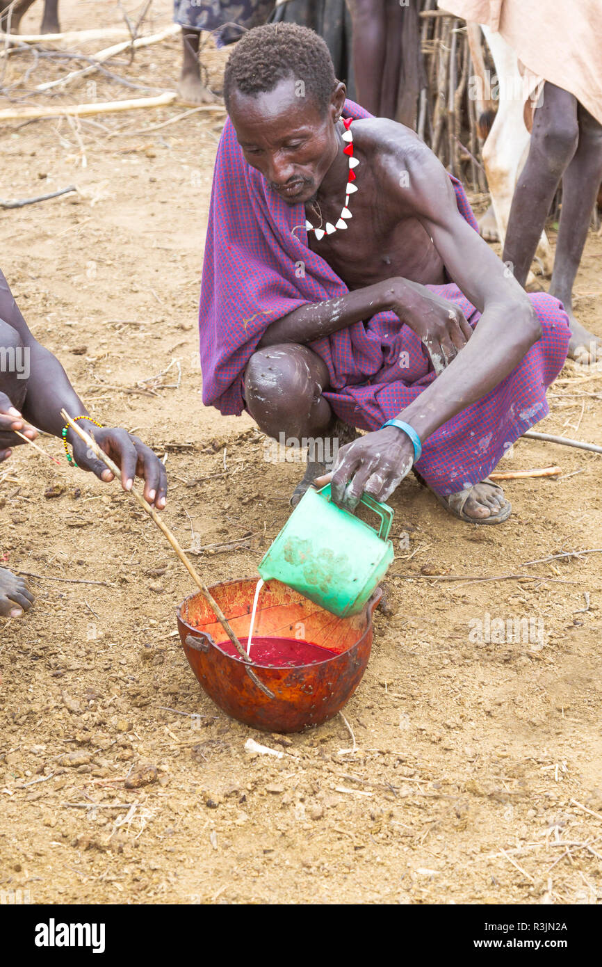 L'Afrique, l'Ethiopie, le sud de la vallée de l'Omo, Tribu Nyangatom. Un homme Nyangatom lait frais se mélange avec le sang. Banque D'Images