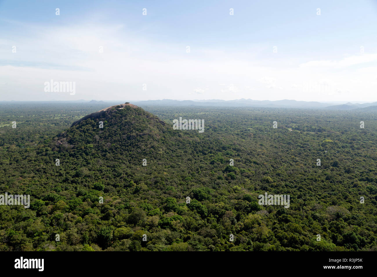 Hill et forêt vu du rocher de Sigiriya au Sri Lanka. Banque D'Images