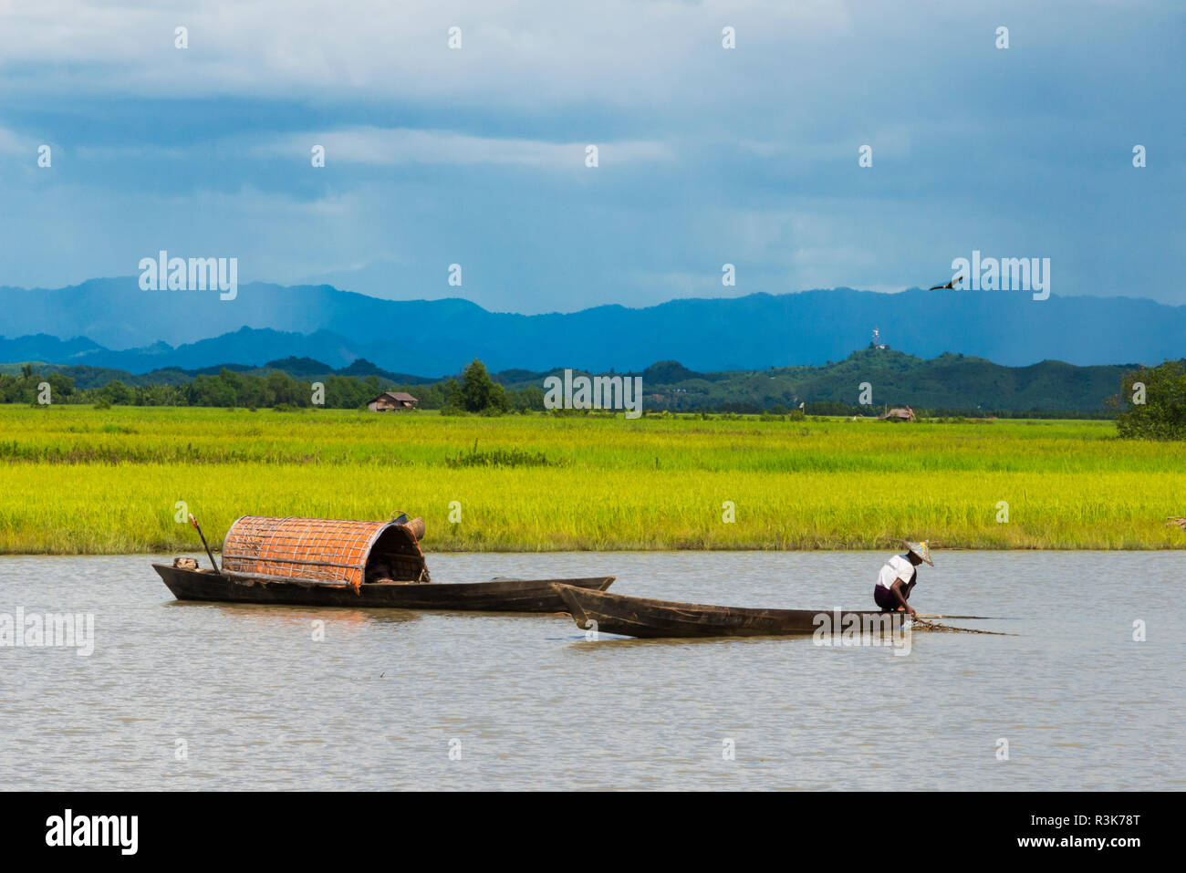 Bateau sur la rivière Kaladan, entre Sittwe et Mrauk-U, l'État de Rakhine, au Myanmar Banque D'Images