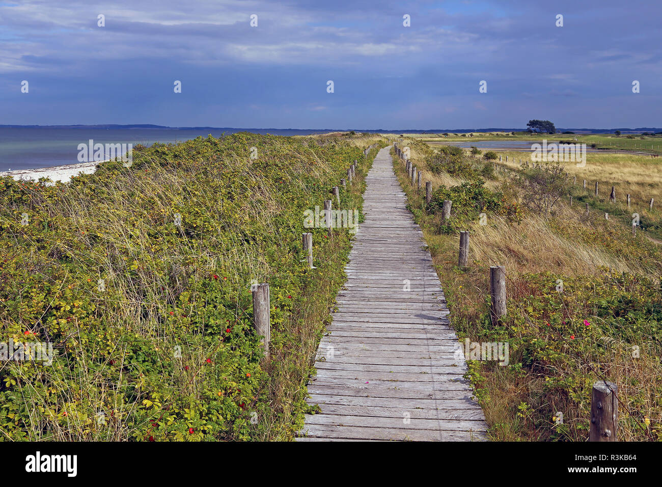 Dunes de la baie hohwachter Banque D'Images