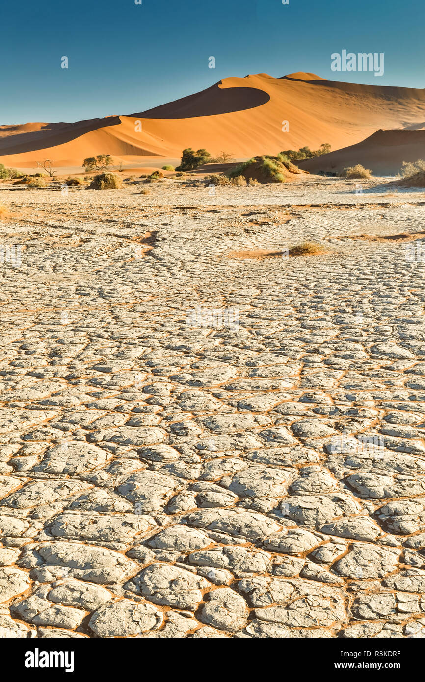 La boue craquelée et séchées avec les dunes de sable de Sossusvlei, Namibie Banque D'Images