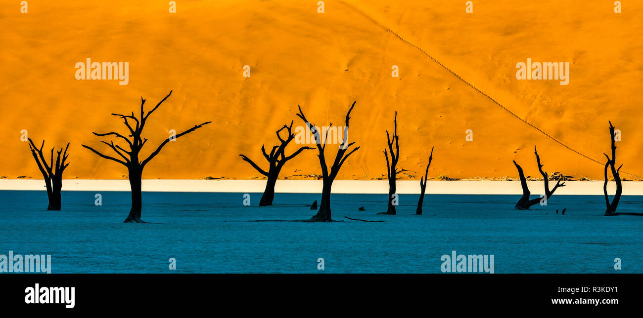 L'Afrique, la Namibie, Sossusvlei. Dead acacia arbres dans l'argile blanc Pan au Deadvlei dans la lumière du matin Banque D'Images