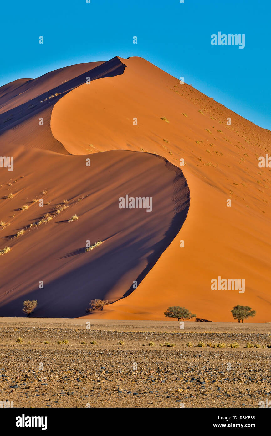 L'Afrique, la Namibie, Sossusvlei. Dunes dans l'après-midi Banque D'Images