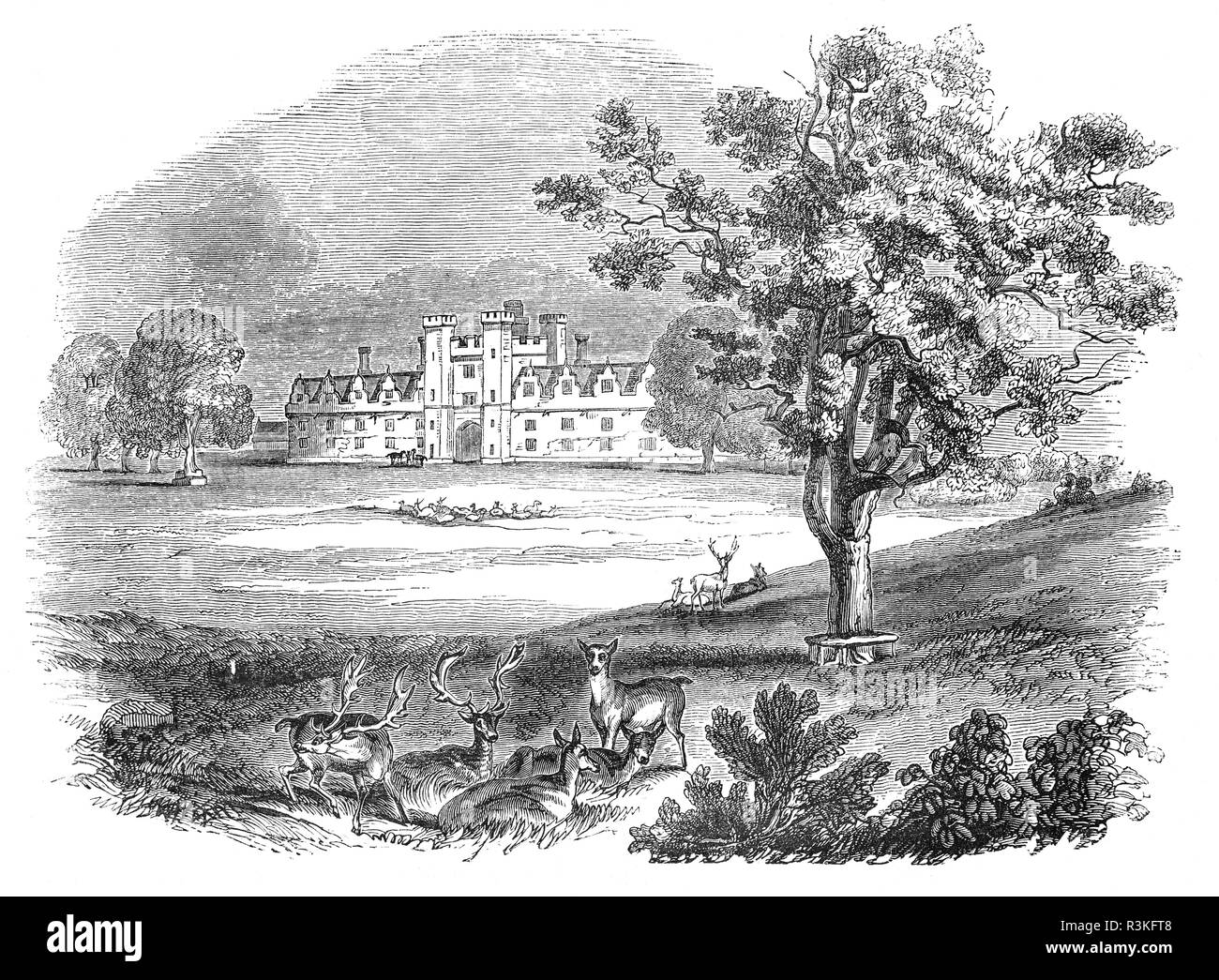 Knole House et parc, est situé immédiatement au sud-est de Sevenoaks dans West Kent. Elle remonte au milieu du 15ème siècle, avec ajouts majeurs au 16ème et début du 17e siècles. Thomas Sackville, ou Lord Buckhurst, avait eu une brillante carrière à la cour en vertu de l'Elizabeth, puis été nommé Lord High Trésorier à James VI et I. Sackvill avait les ressources pour entreprendre des rénovations à l'état les chambres de Knole, dans l'espoir de recevoir la visite du roi, mais cela ne semble pas avoir eu lieu et le Seigneur lui-même trésorier sont morts au cours des travaux de construction, en avril 1608. Banque D'Images