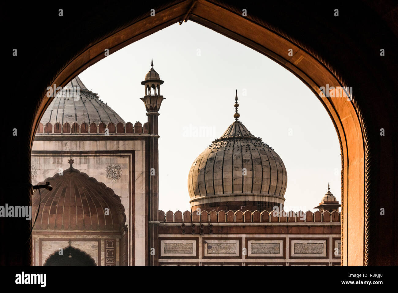 L'Inde, de vieux Delhi. Pas d'eau pas de vie de l'expédition, Jami Masjid (la plus grande mosquée d'Inde), vue par arch Banque D'Images