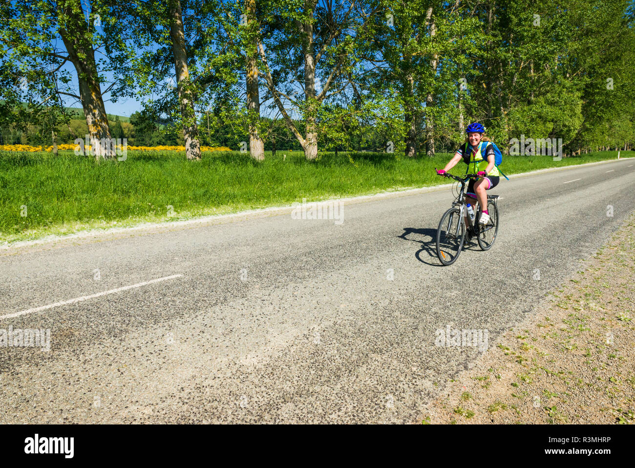 Cycliste de Middle Valley, Canterbury, île du Sud, Nouvelle-Zélande (M.) Banque D'Images