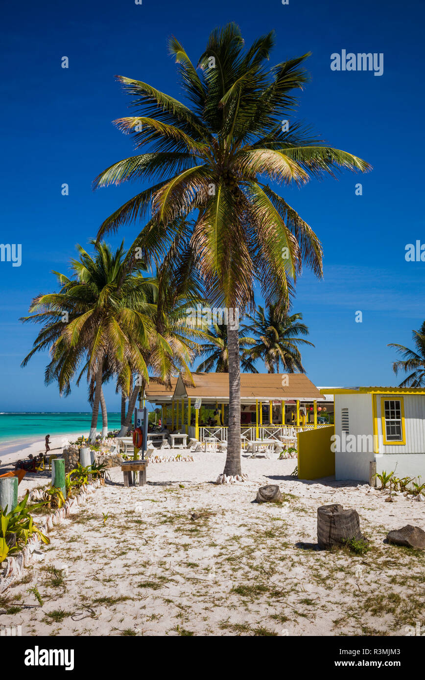 Îles Vierges britanniques, Anegada. Cow Wreck Bay Beach Banque D'Images