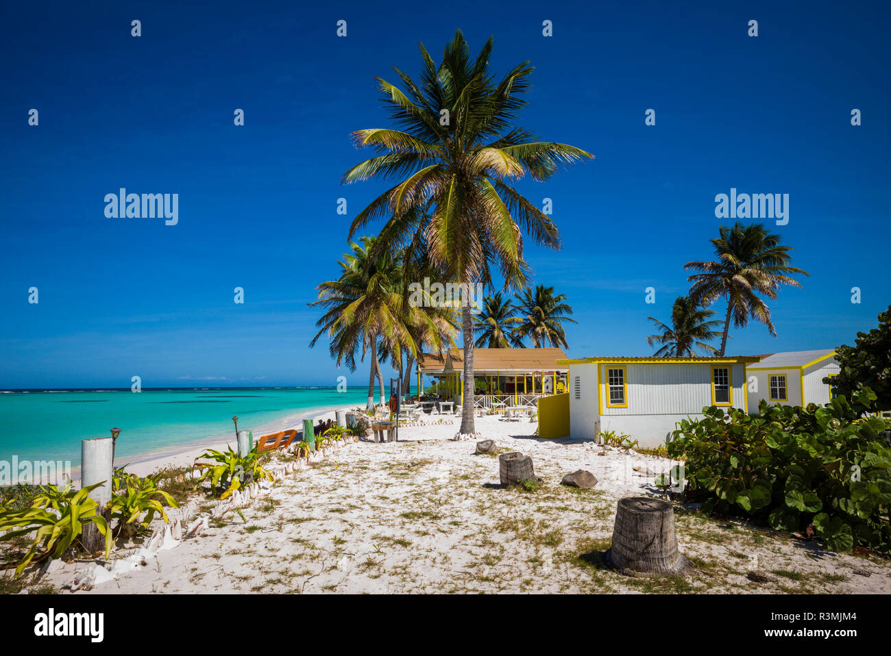 Îles Vierges britanniques, Anegada. Cow Wreck Bay Beach Banque D'Images