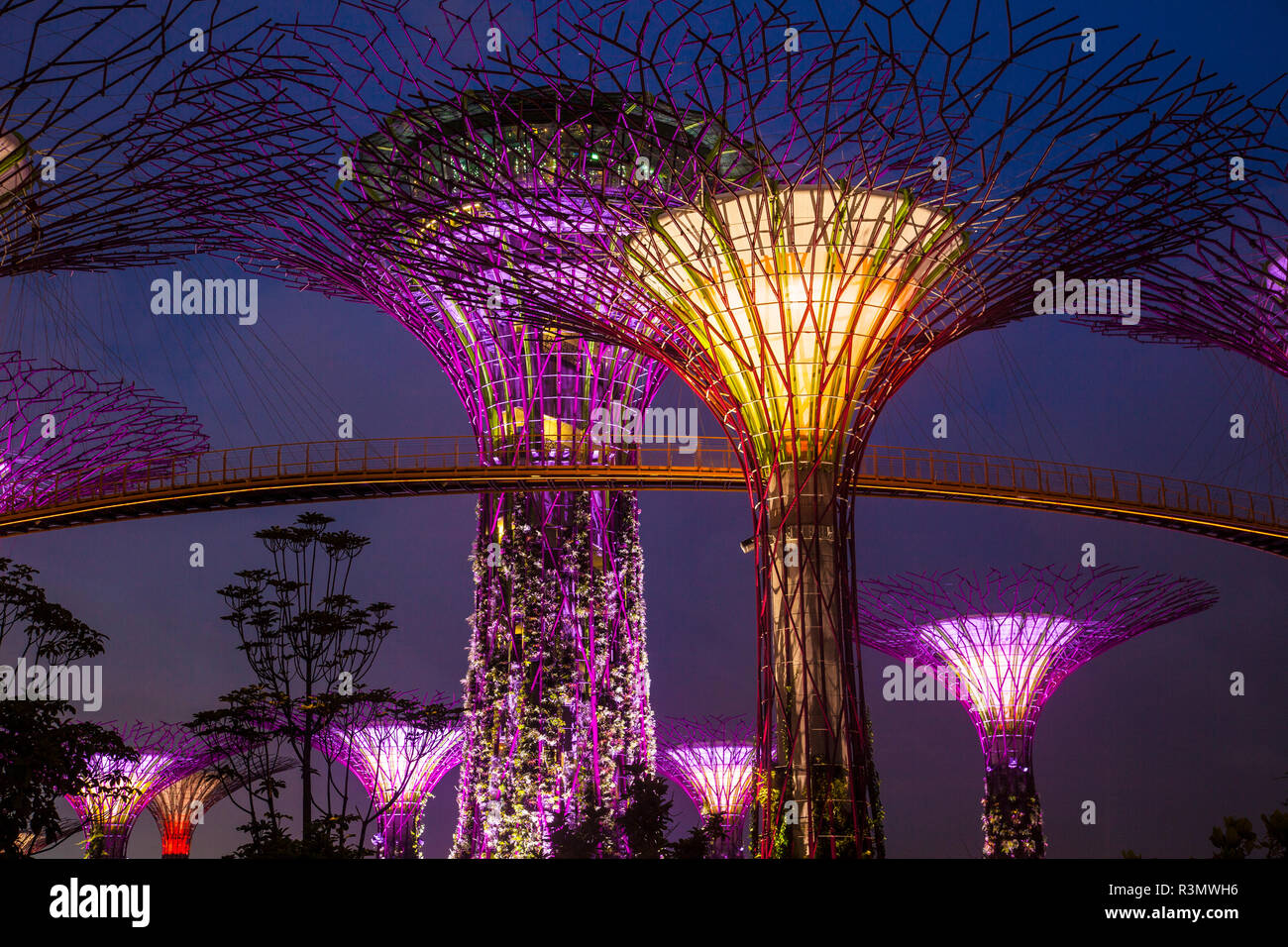 Singapour. Jardin de la baie nature parc de nuit. En tant que crédit : Jim Zuckerman / Jaynes Gallery / DanitaDelimont.com Banque D'Images