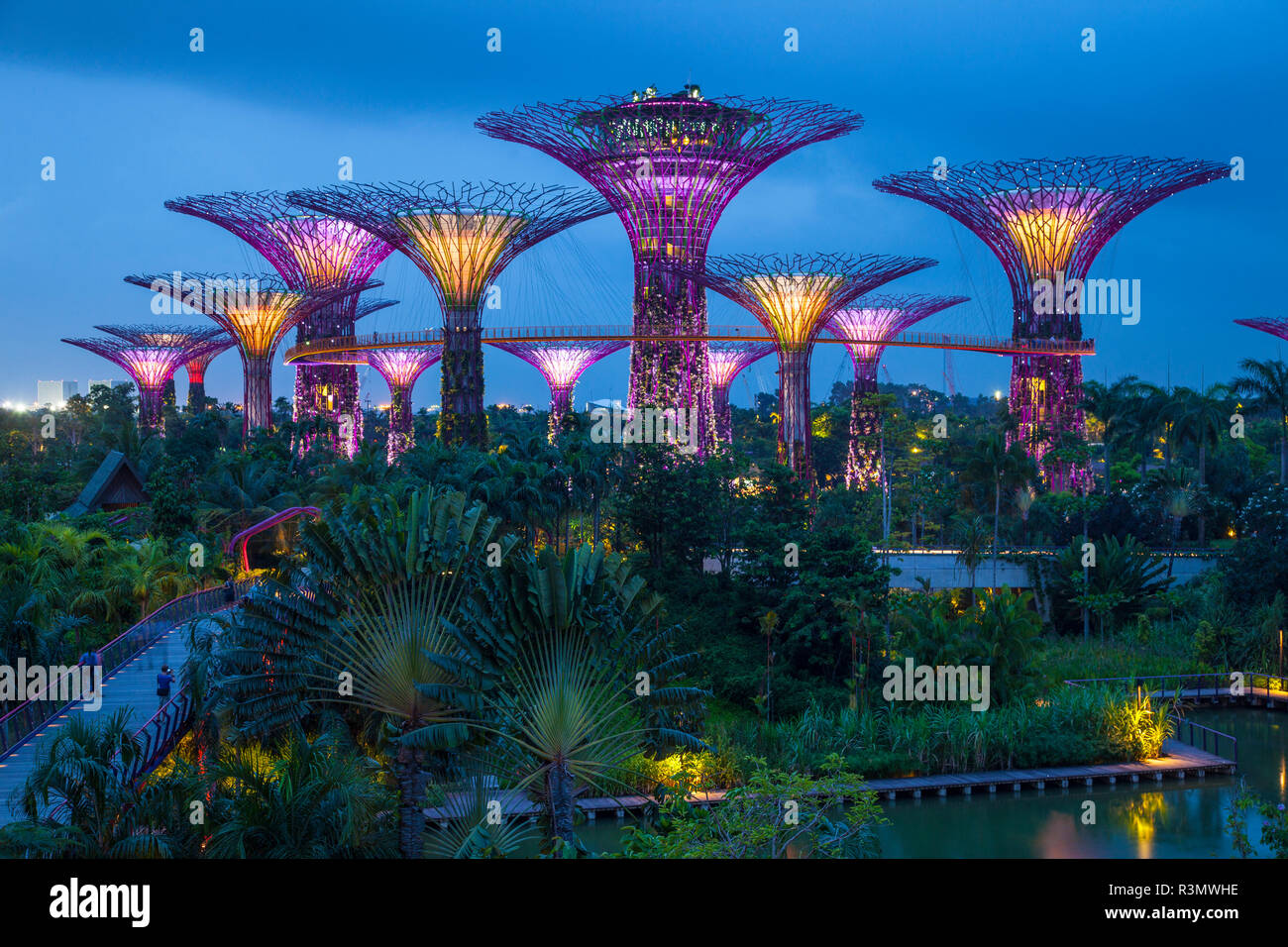 Singapour. Jardin de la baie nature parc de nuit. En tant que crédit : Jim Zuckerman / Jaynes Gallery / DanitaDelimont.com Banque D'Images