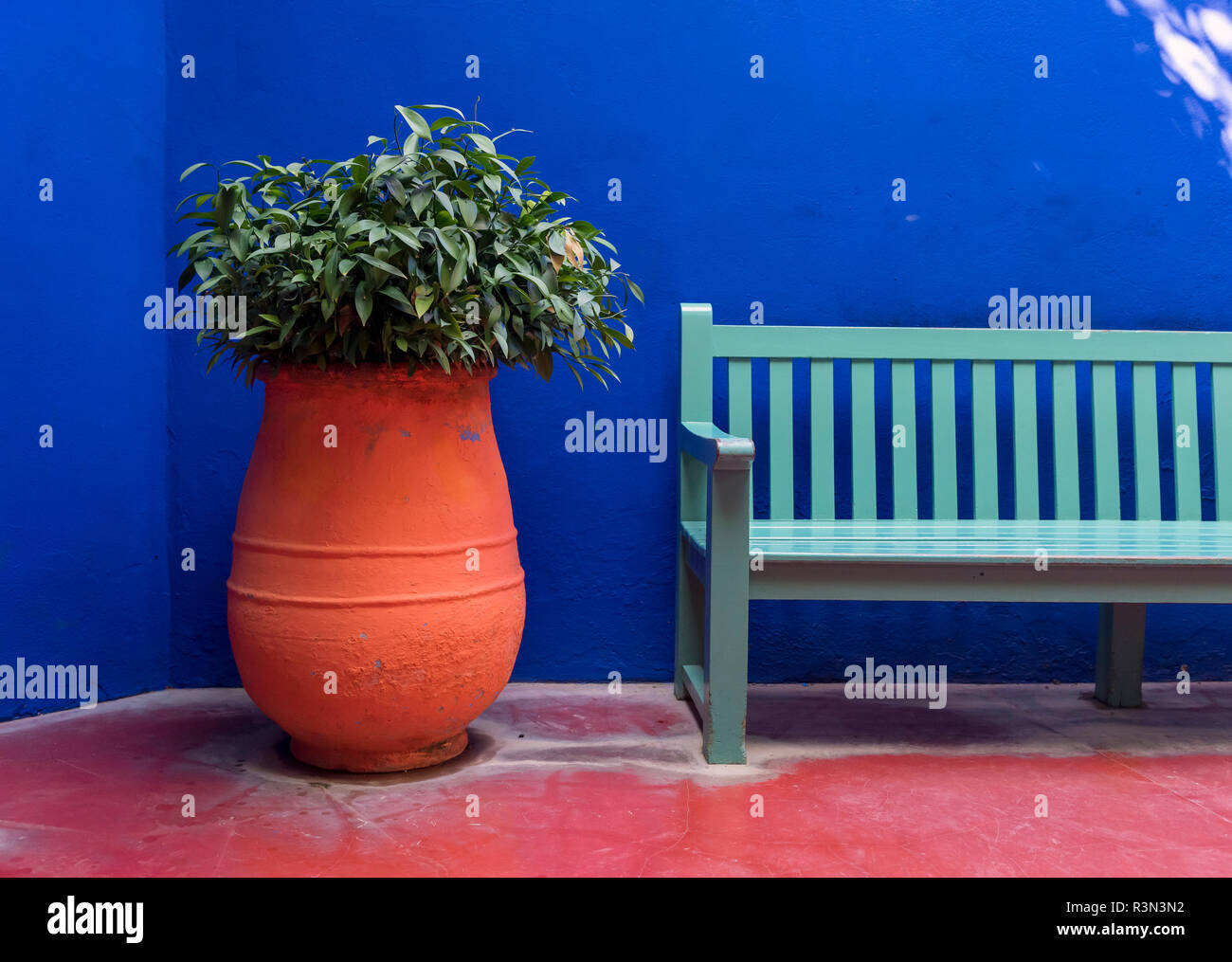 Pot de fleurs et banc, Jardin Jardin Majorelle, Marrakech, Maroc (Marrakech) Banque D'Images