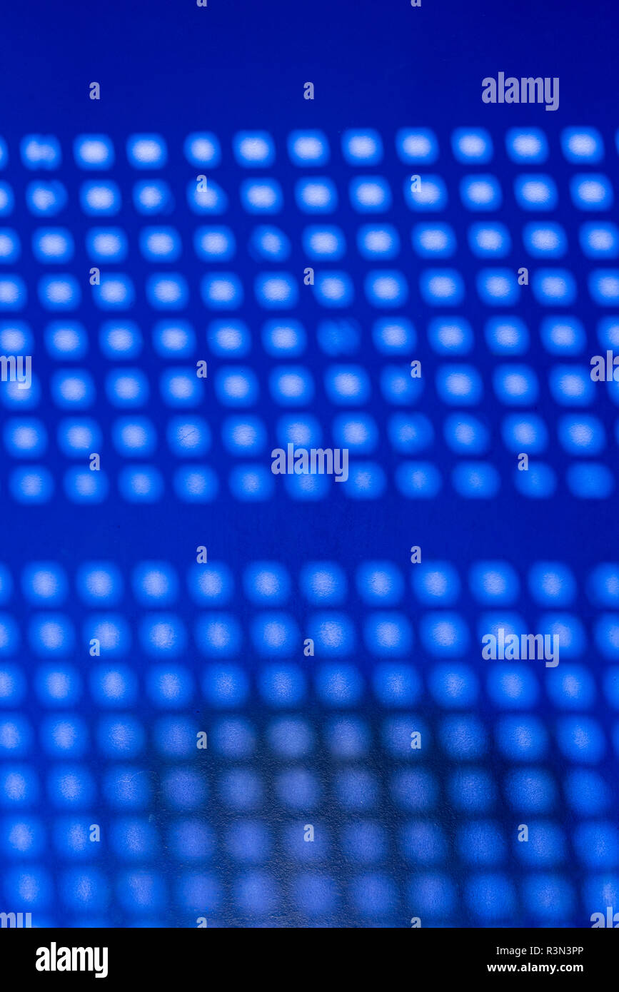 D ombre, Jardin Jardin Majorelle, Marrakech, Maroc (Marrakech) Banque D'Images D ombre, Jardin Jardin Majorelle, Marrakech, Maroc (Marrakech) Banque D'Images