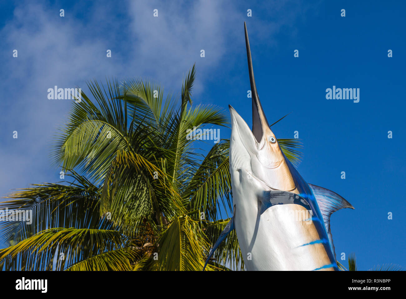 Sint Maarten. Simpson Bay, le saut du poisson Marlin statue Banque D'Images