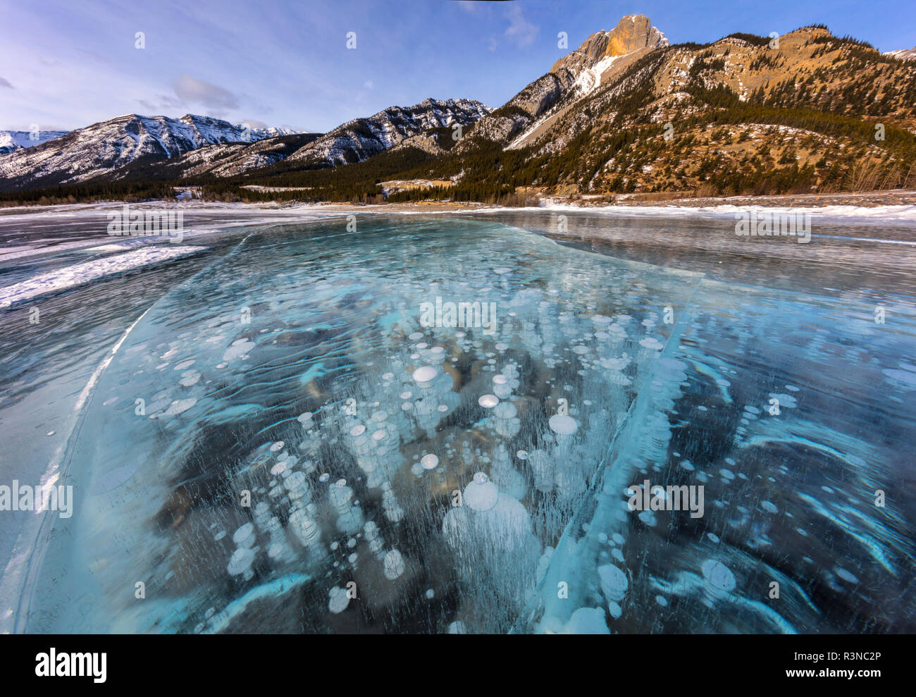 Le mont Abraham au lever du soleil avec glace de méthane des bulles sous glace claire sur le lac Abraham près de Nordegg, Alberta, Canada Banque D'Images