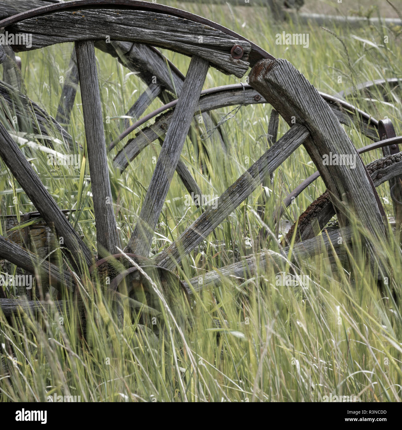 Le Canada, la Colombie-Britannique, Cache Creek, Hat Creek Ranch. Vieux wagon wheels en champ. Banque D'Images