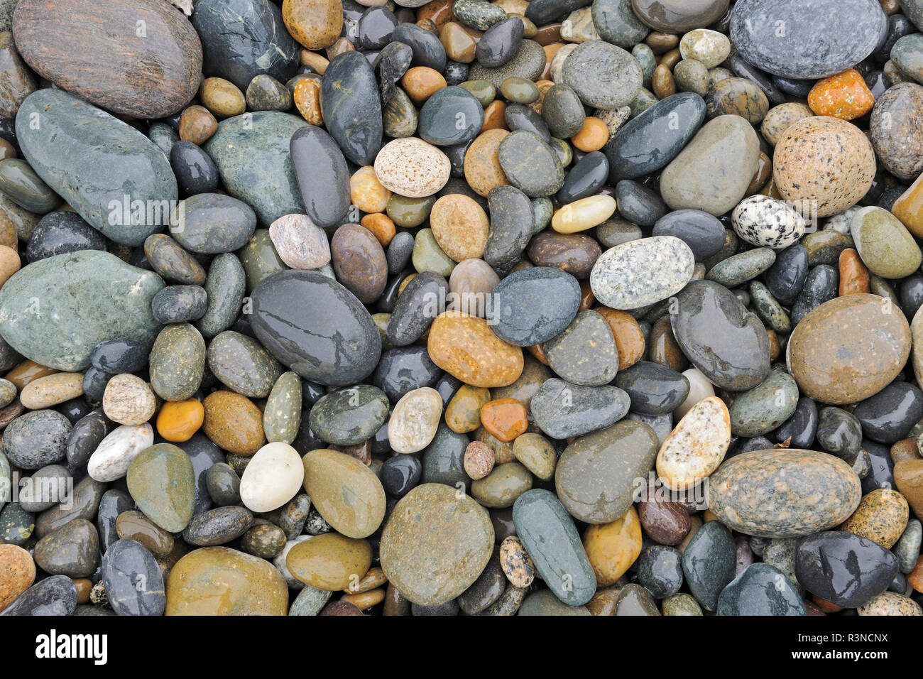 Le Canada, la Colombie-Britannique, le Parc Provincial Naikoon. Roches sur l'Agate Beach. Banque D'Images