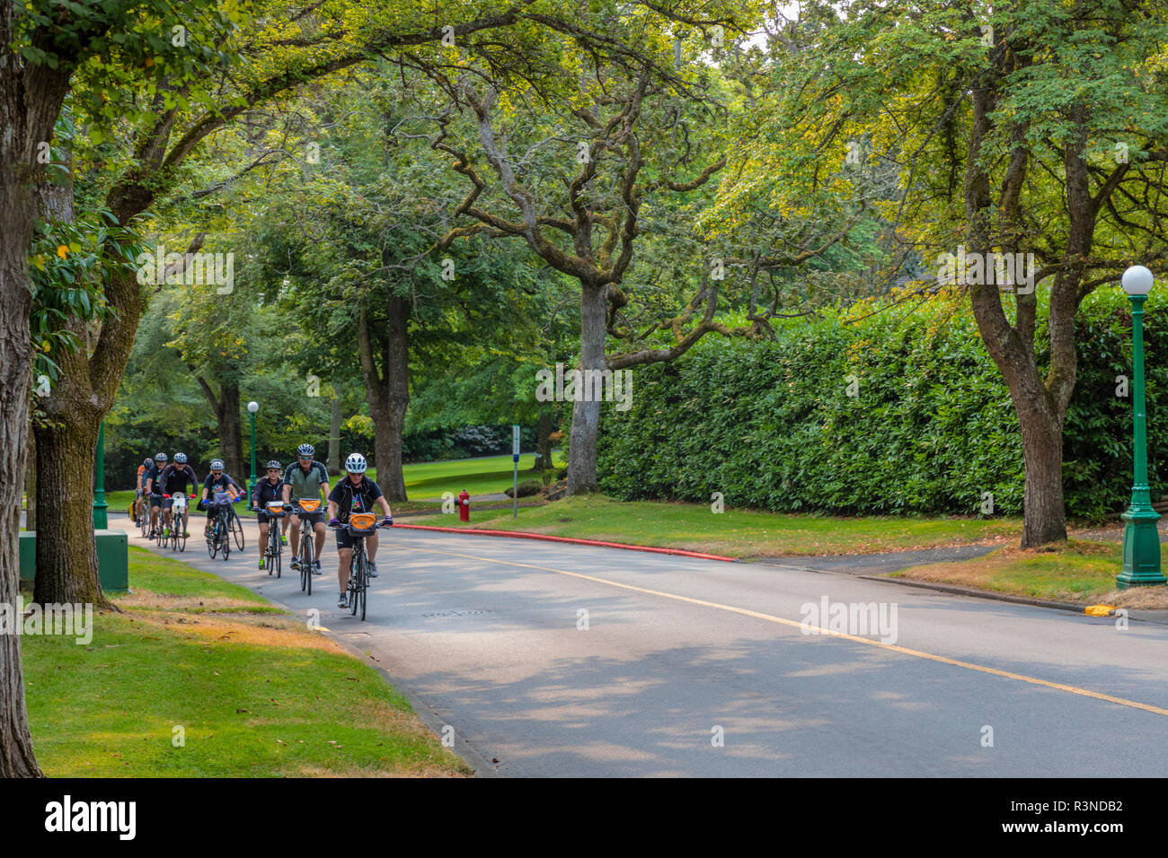 Le cyclisme sur route dans la région de Victoria, Colombie-Britannique, Canada (M.) Banque D'Images