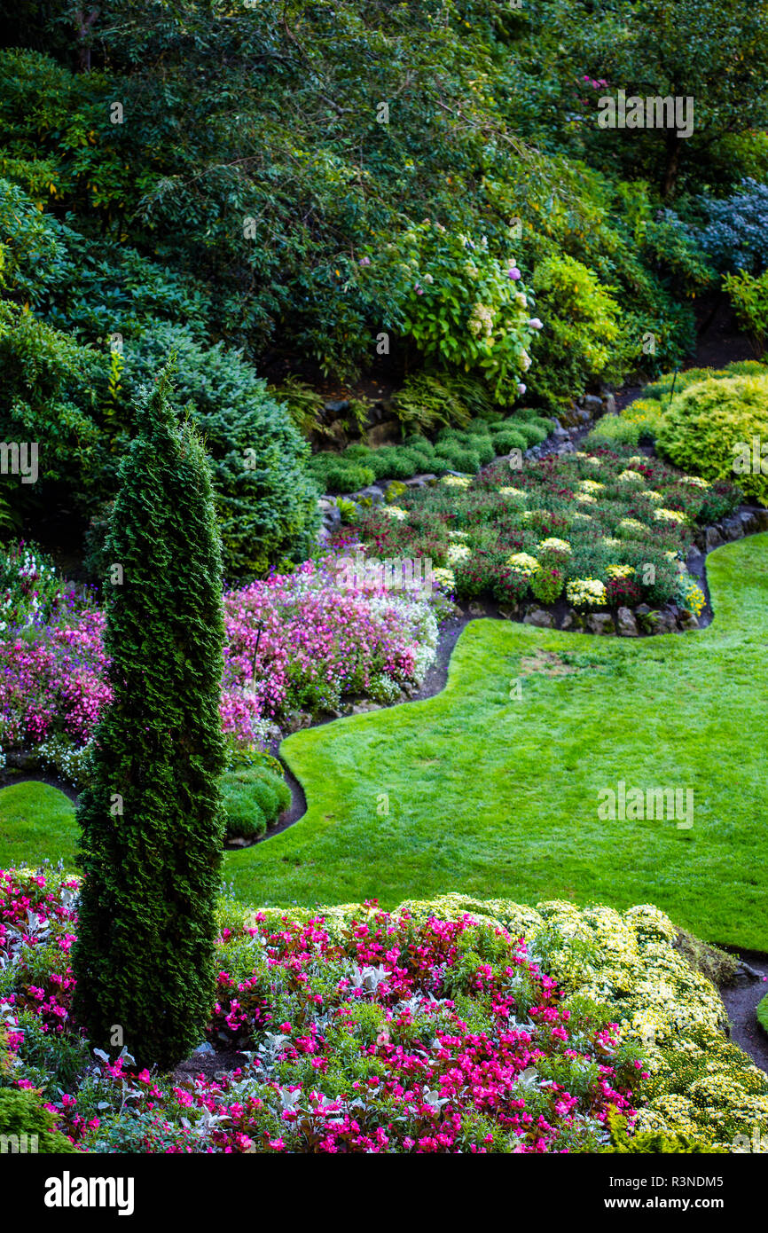 Les Butchart Gardens, Victoria, Colombie-Britannique, Canada. Neat, formel, tranchant avec jardin paysage fleurs, arbres et arbustes Banque D'Images