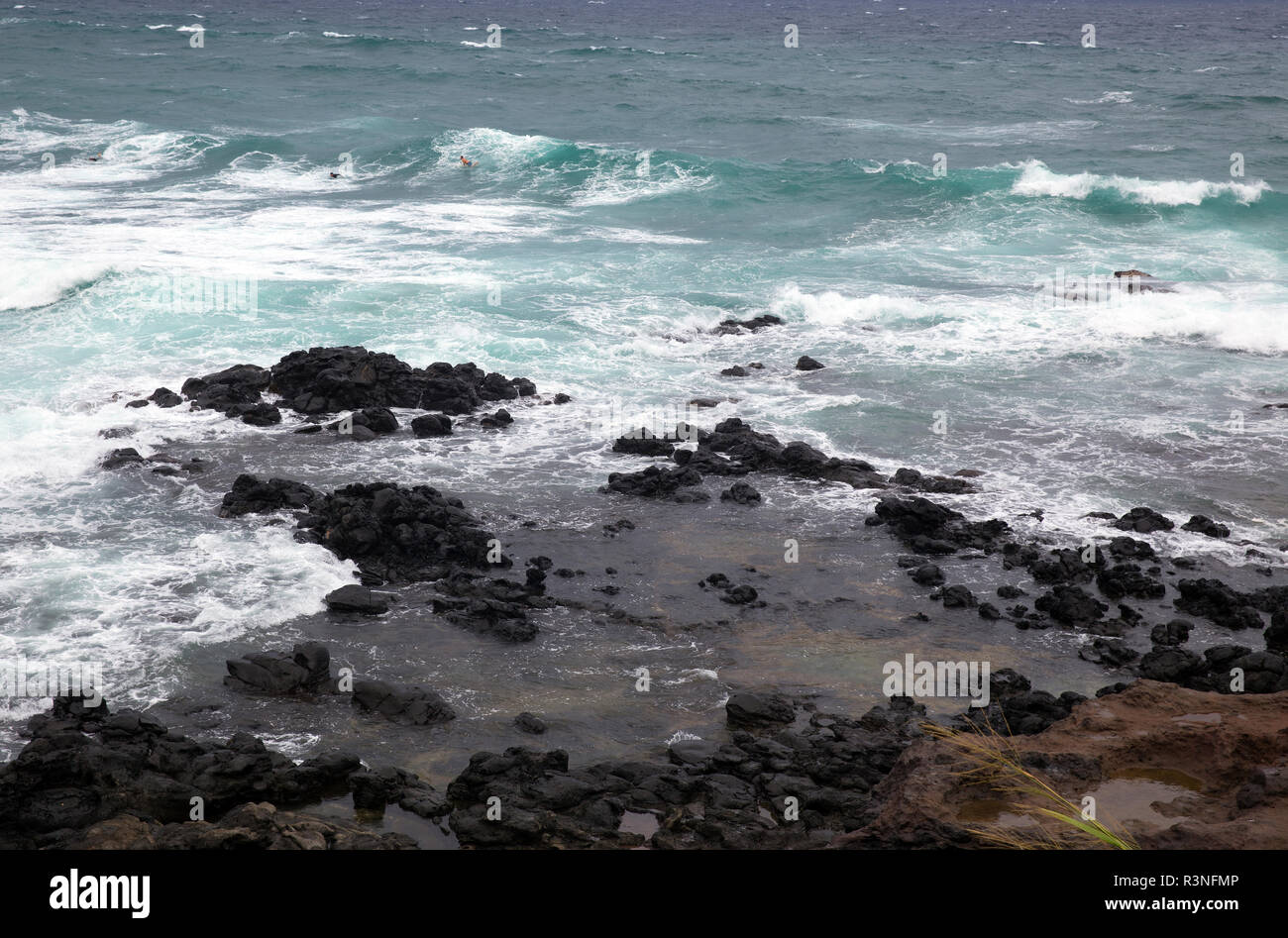 La pierre de lave libre sur la rive de l'île de Maui Banque D'Images La pierre de lave libre sur la rive de l'île de Maui Banque D'Images
