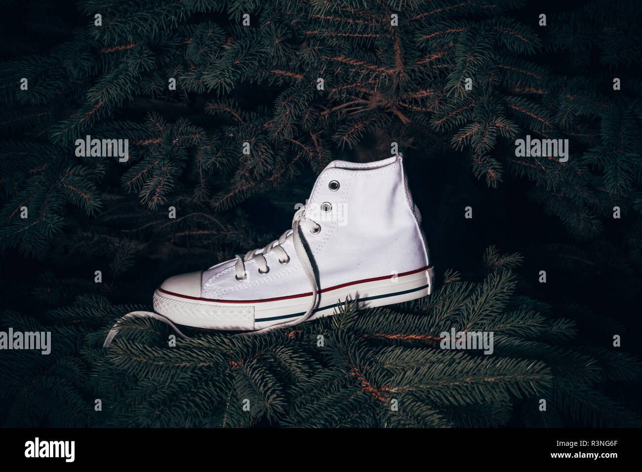 converse france paris converse france paris