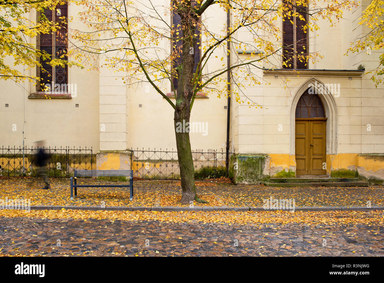 Porte latérale de l'église gothique de la ville de Zatec. De l'automne. République tchèque. Banque D'Images