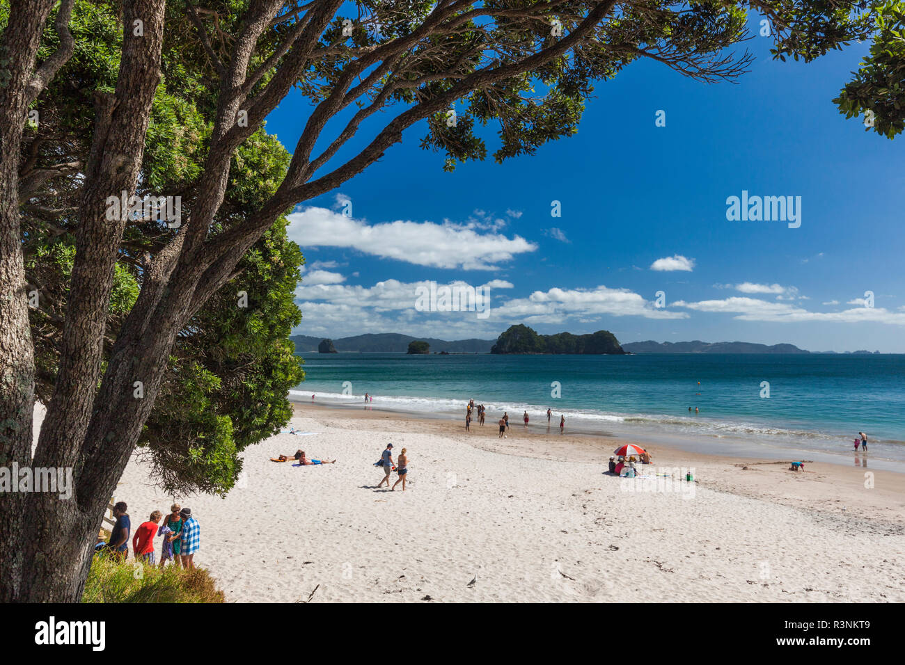 Nouvelle Zélande, île du Nord, péninsule de Coromandel. Hahei, Hahei Beach Banque D'Images