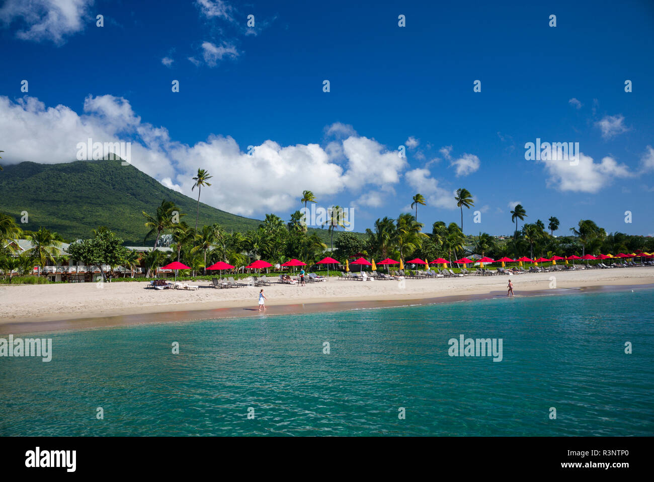 Saint Kitts et Nevis, Nevis. Pinney's Beach Banque D'Images
