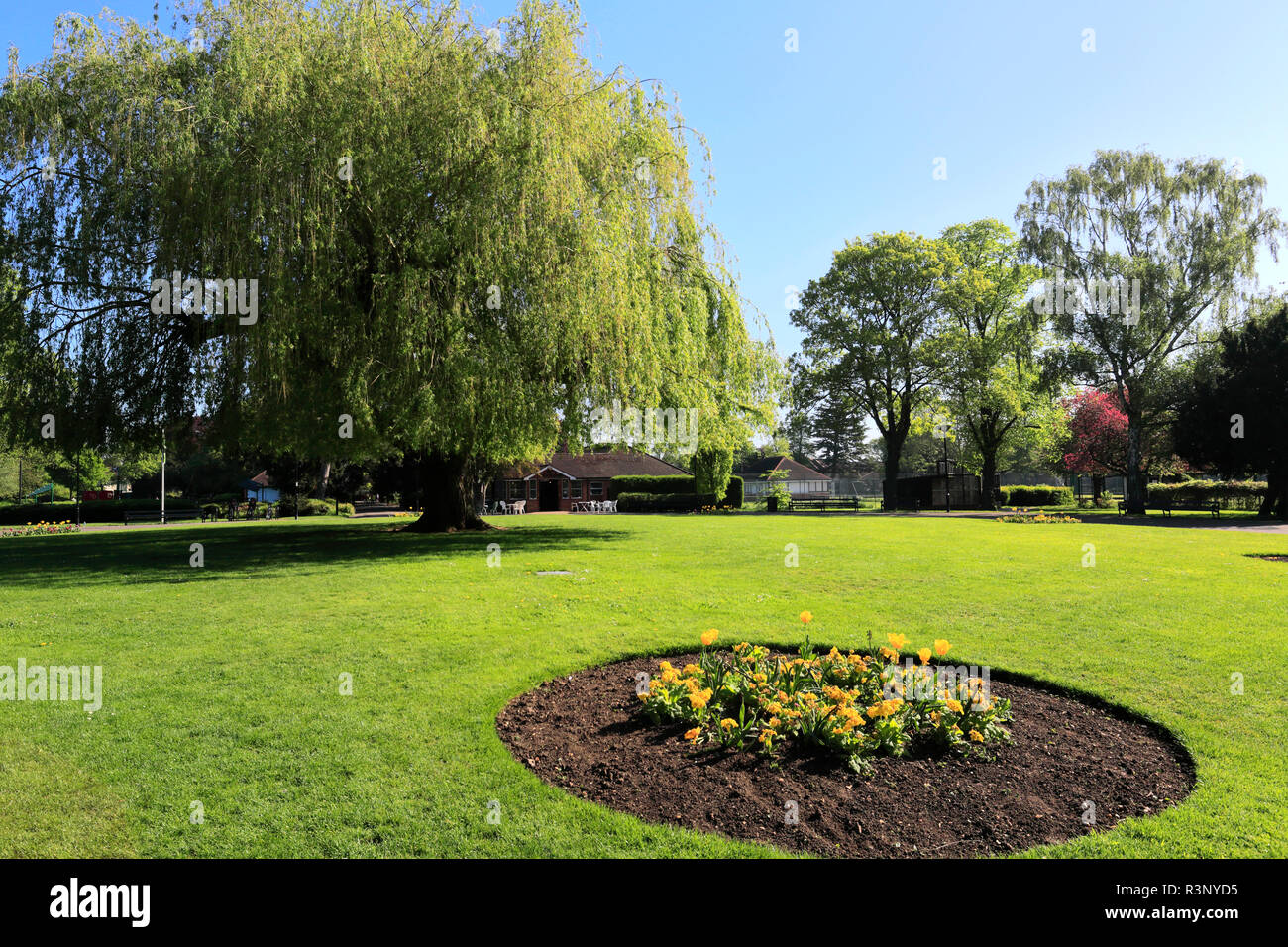 Printemps vue sur Central Park, Park Crescent, Ville de Peterborough, Cambridgeshire, Angleterre, RU Banque D'Images