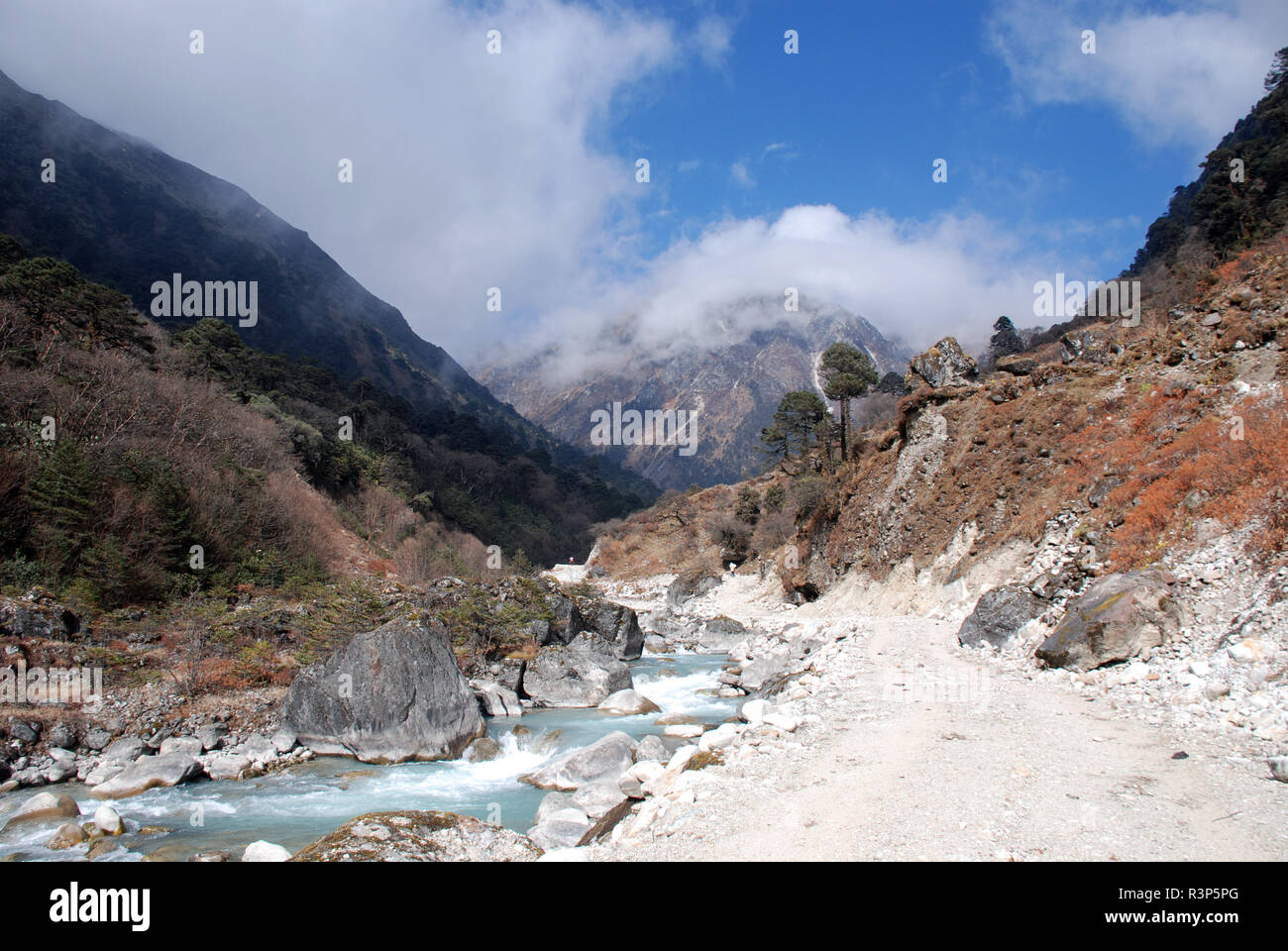 La vallée de la rivière Tamur au Népal Banque D'Images