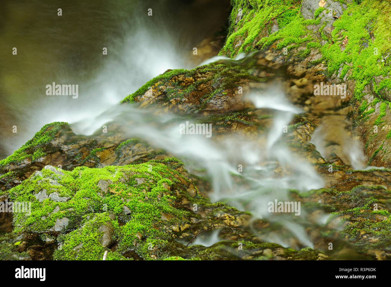Canada, Nouveau-Brunswick, le parc national Fundy. Détail de ruisseau Dickson. Banque D'Images Canada, Nouveau-Brunswick, le parc national Fundy. Détail de ruisseau Dickson. Banque D'Images