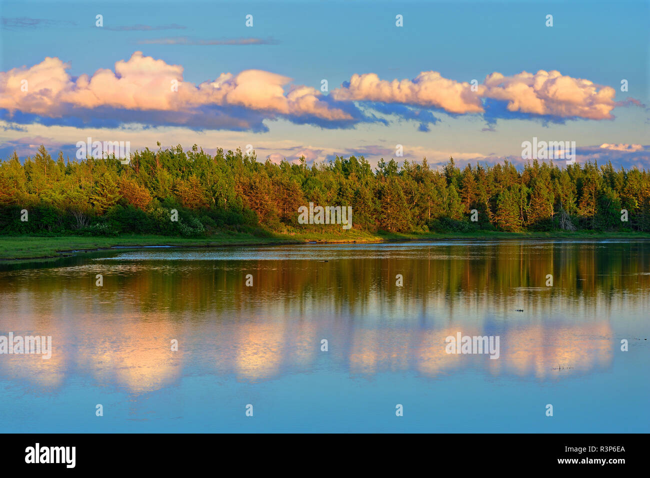 Canada, Nouveau-Brunswick, de Richibucto. Les nuages reflètent dans une crique au coucher du soleil. Banque D'Images Canada, Nouveau-Brunswick, de Richibucto. Les nuages reflètent dans une crique au coucher du soleil. Banque D'Images